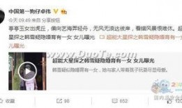 卓伟最新爆料曝光视频大全,独家视频大揭秘，娱乐圈风云再起